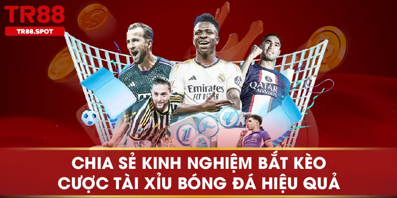 Chia sẻ kinh nghiệm bắt kèo cược tài xỉu bóng đá hiệu quả